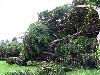 IMG_0395.jpg